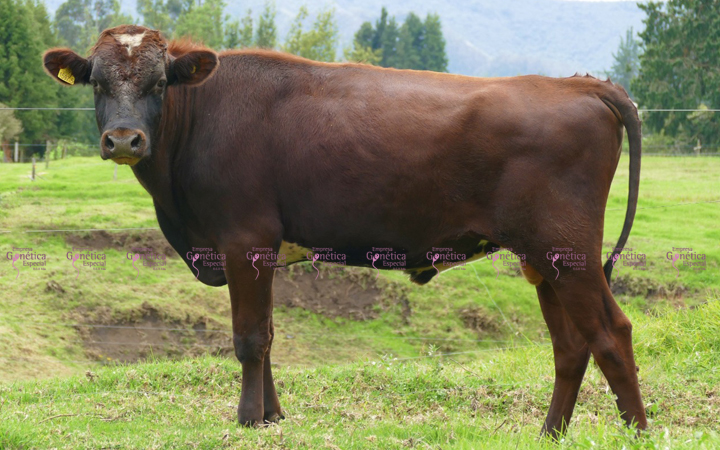 Egenetica equipo de profesionales